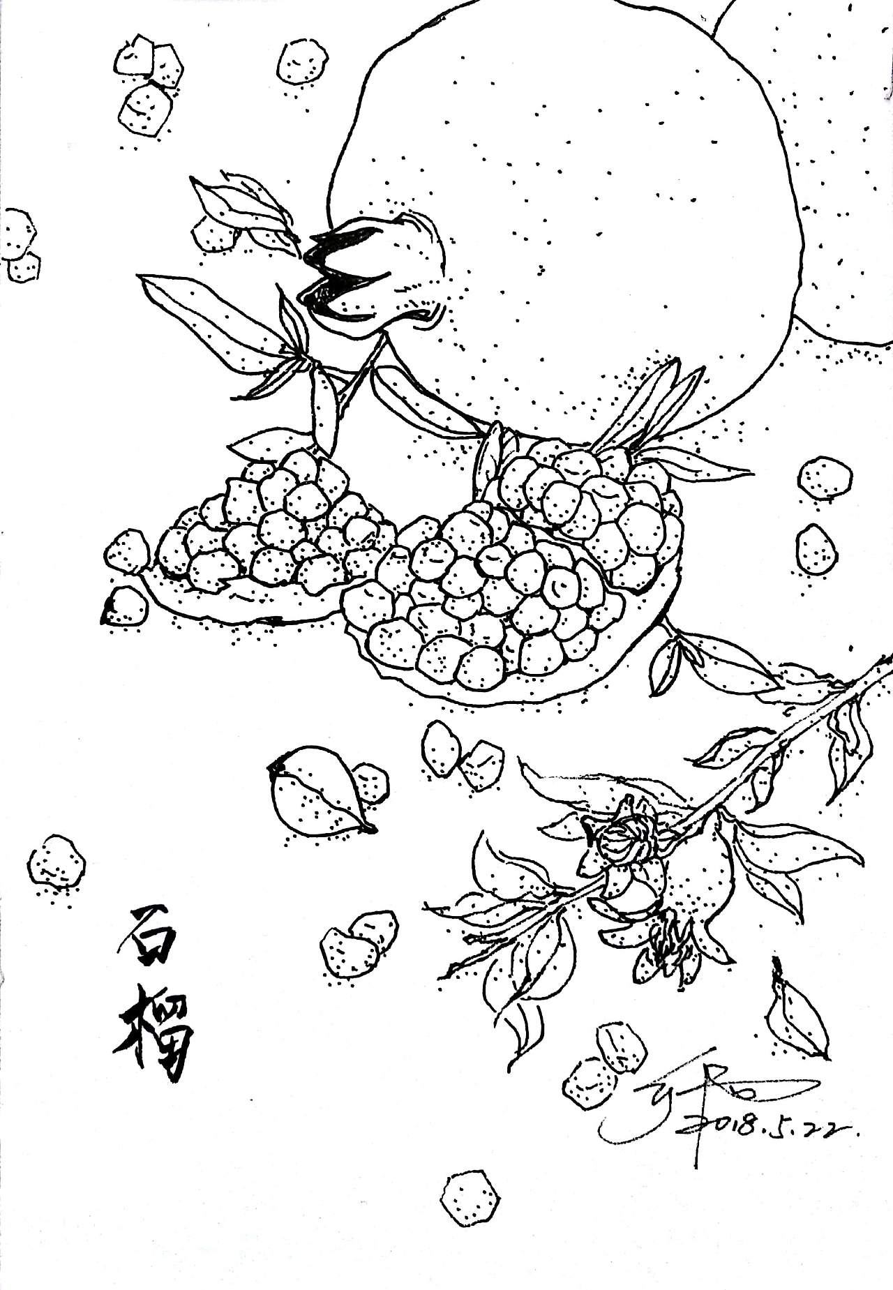 硕果累累|插画|创作习作|卯灼_原创作品-站酷zcool