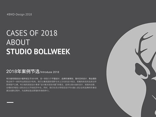 布尔维克视觉设计 | 2018年案例节选
