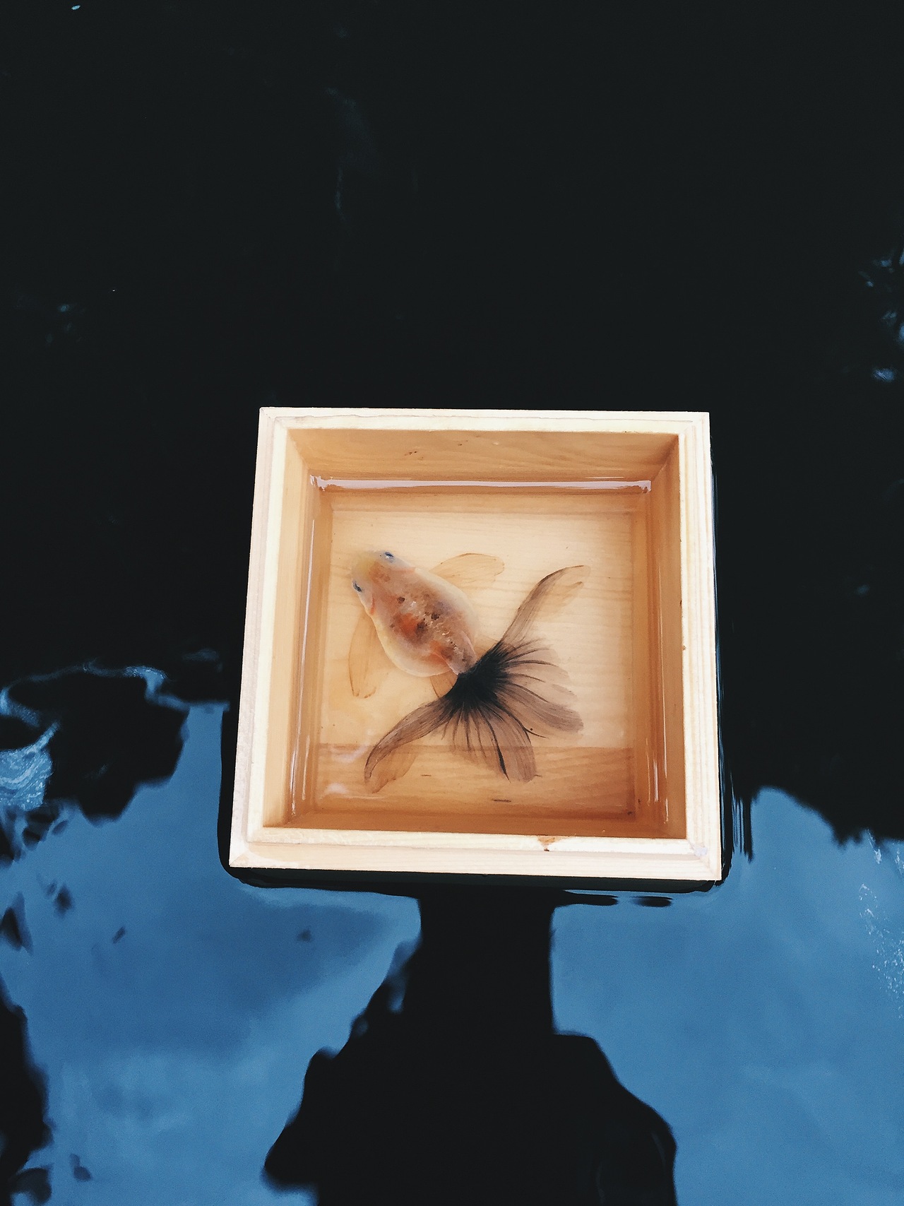 树脂金鱼之这段时间画的。（图ZOTE1MzI2NDA=） - 工艺品设计 - 站酷设计师亚麟原创素材 - 站酷ZCOOL