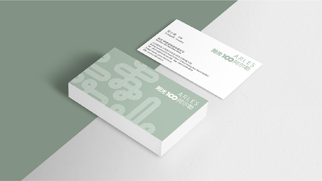 阳光100阿尔勒项目丨提案飞机稿