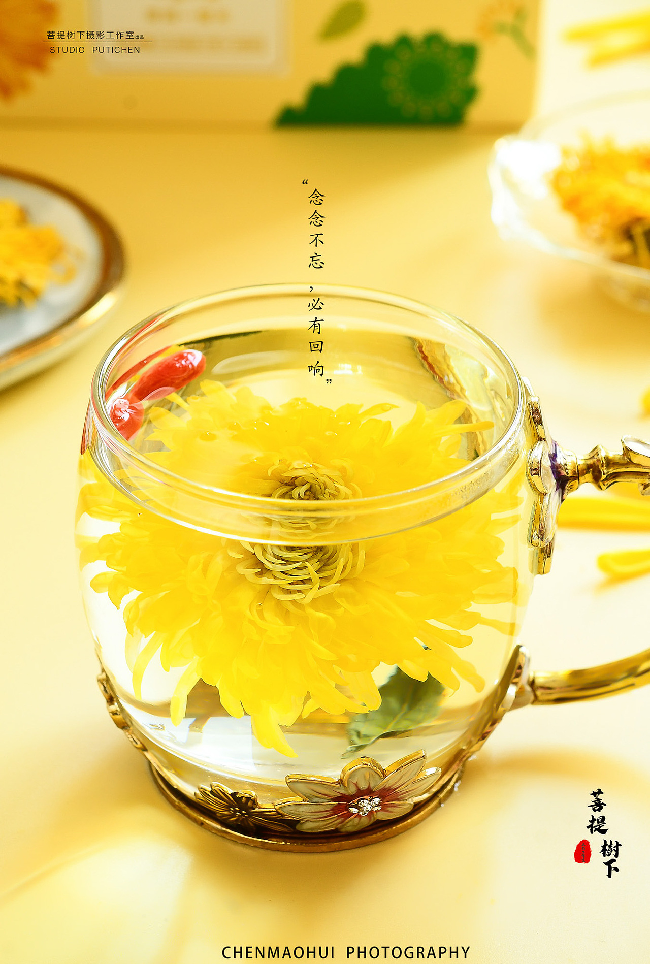 金丝皇菊