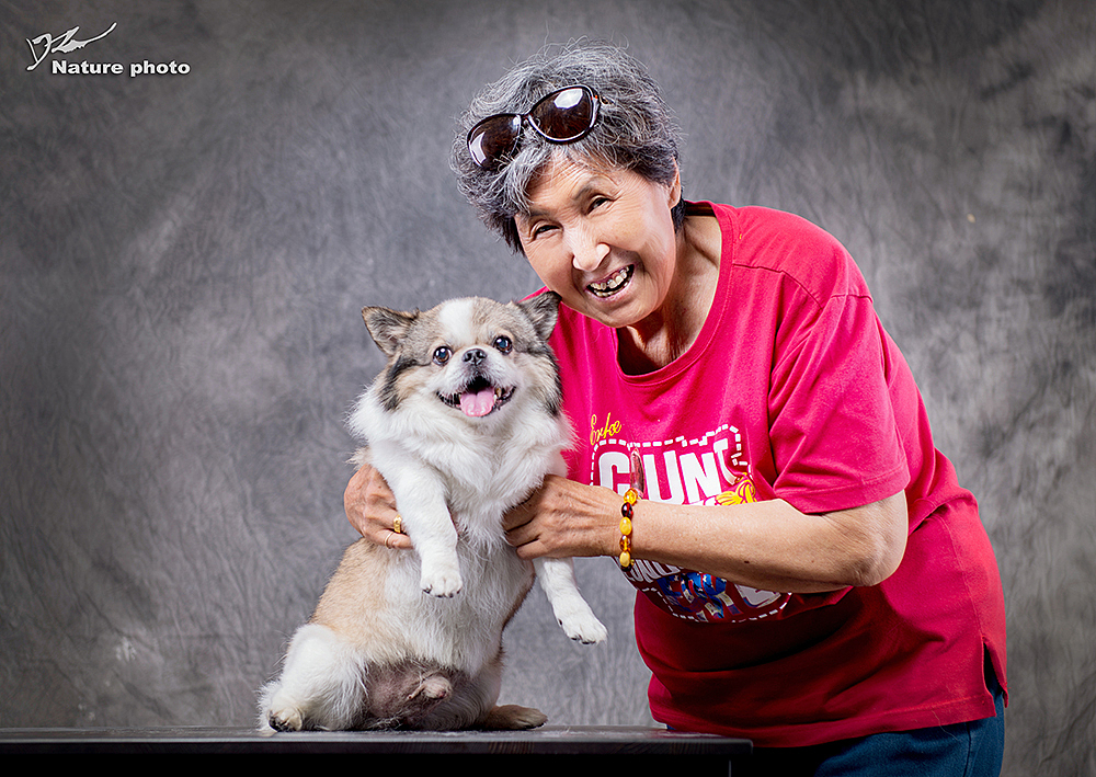 大卫是2001年7月13日出生的 这次也是来拍个生日照 15年,听力已经退化,但依旧知道追着姥姥要吃的,追着妈妈出去玩。