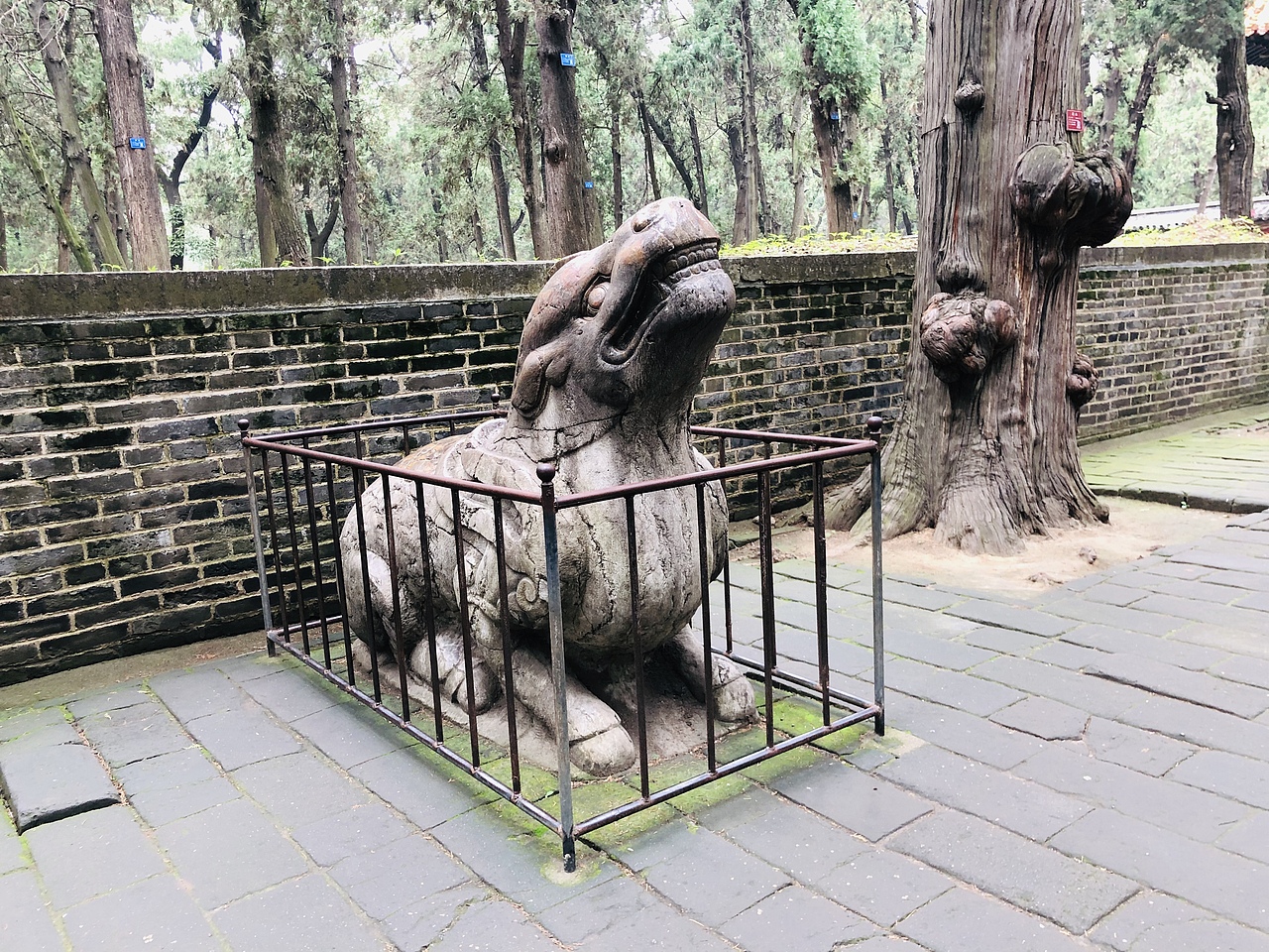 游曲阜三孔 中秋特辑(其三)