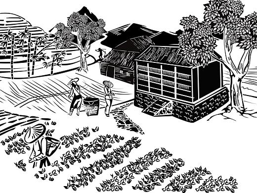 武夷山红茶，普洱，凤凰单枞（乌龙茶）茶叶版画（个人主页-ZNDc3MjMzNjQ=） - 商业插画 - 站酷设计师过拟合原创素材 - 站酷ZCOOL