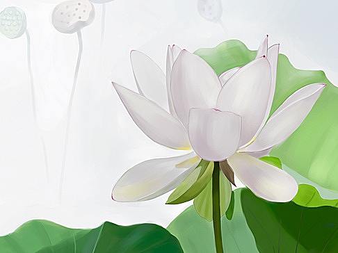 手繪練習(xí)（個人主頁-ZMjU0MDExNDg=） - 創(chuàng)作習(xí)作 - 站酷設(shè)計師天相巨門原創(chuàng)素材 - 站酷ZCOOL