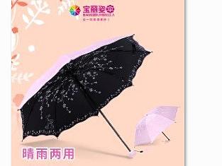 雨伞