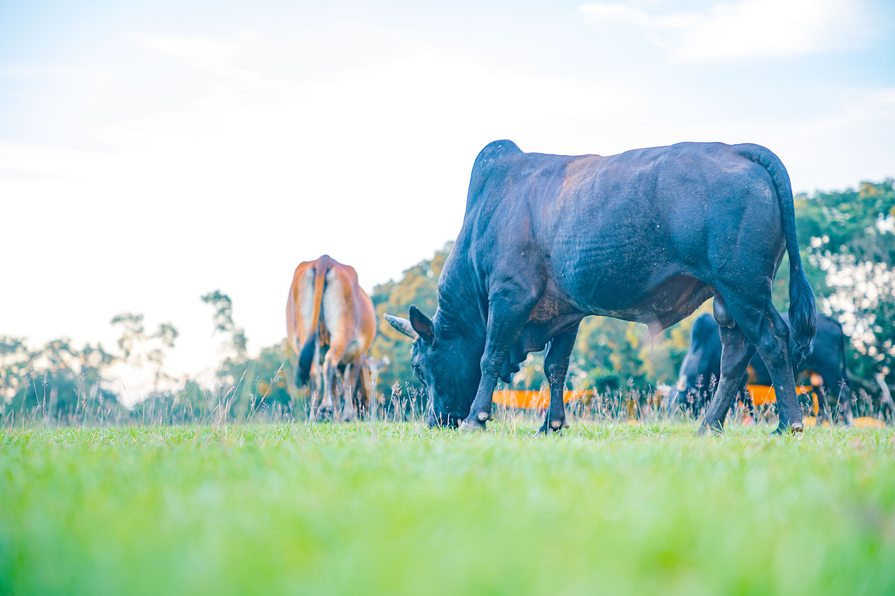 香港湾仔南营地及周边02