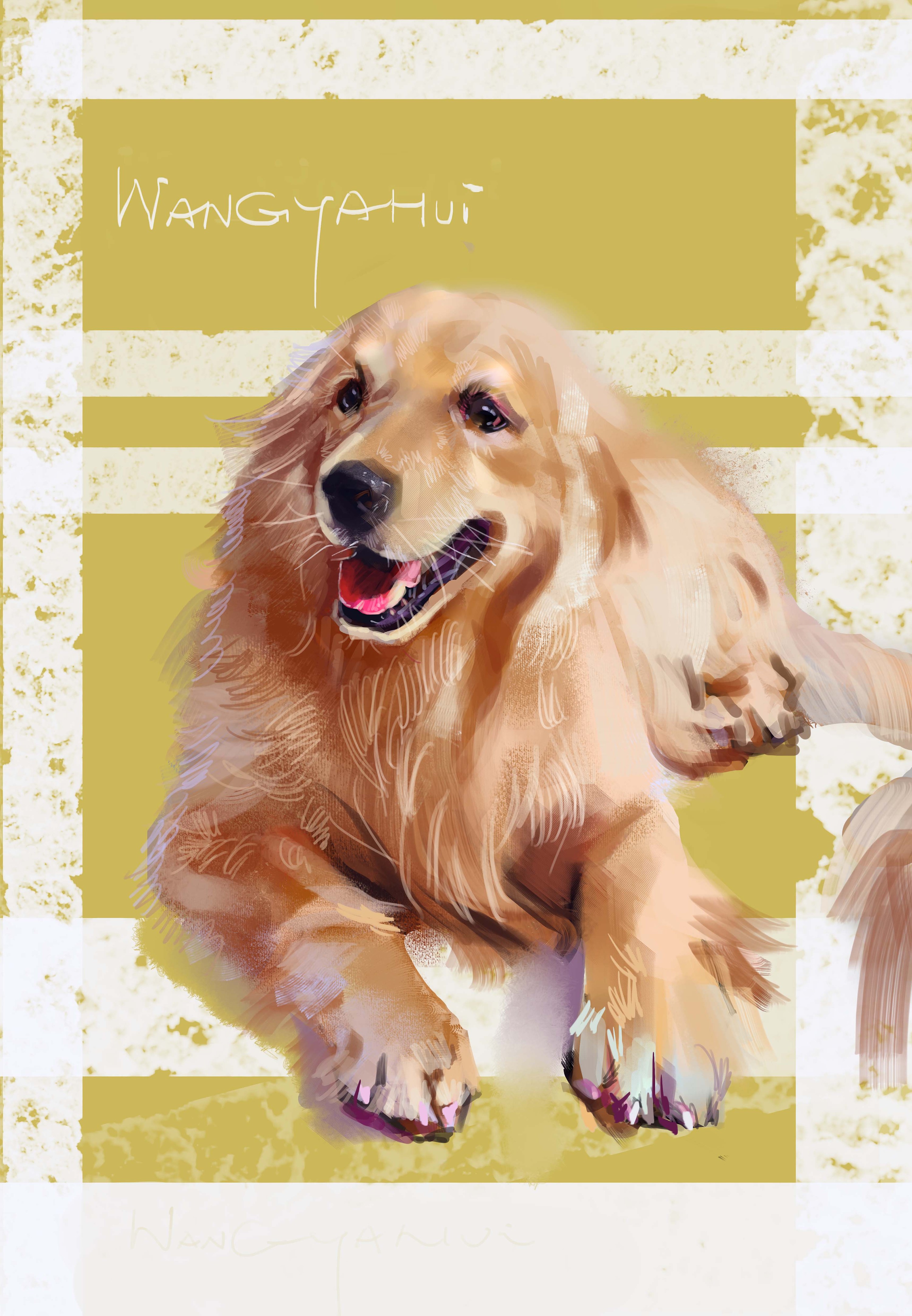 背影与金毛2|插画|插画习作|white9527 - 原创作品 - 站酷 (zcool)