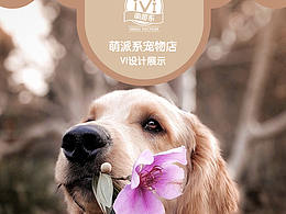 Vi设计