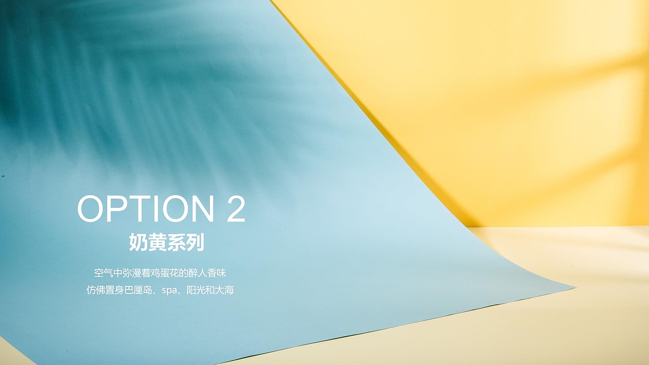 雪梨旗下——洗护产品包装设计