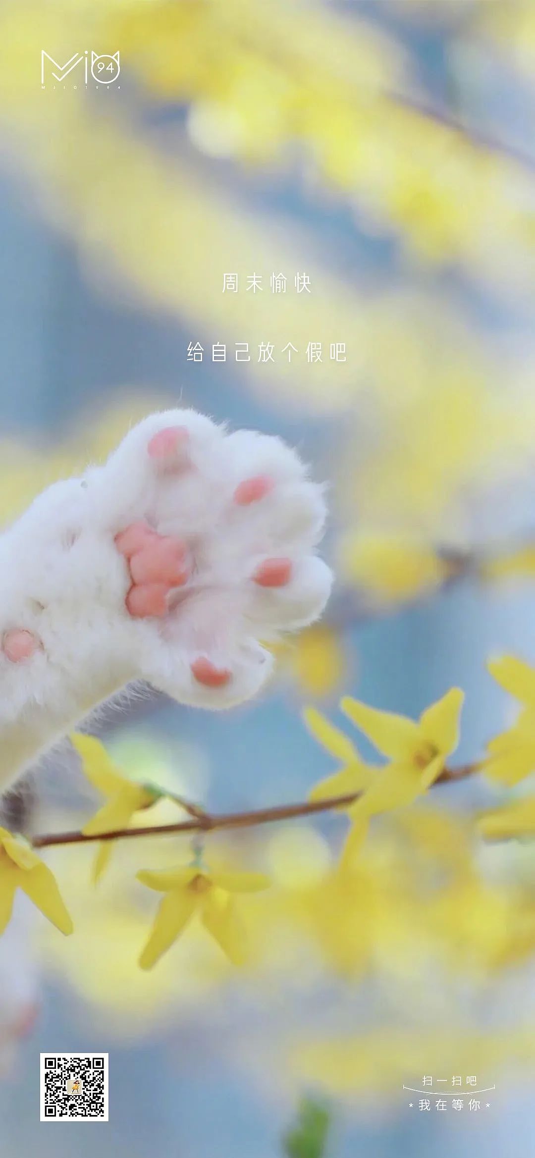 这些小美好·FIFTEEN