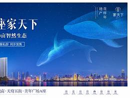 地产 提案