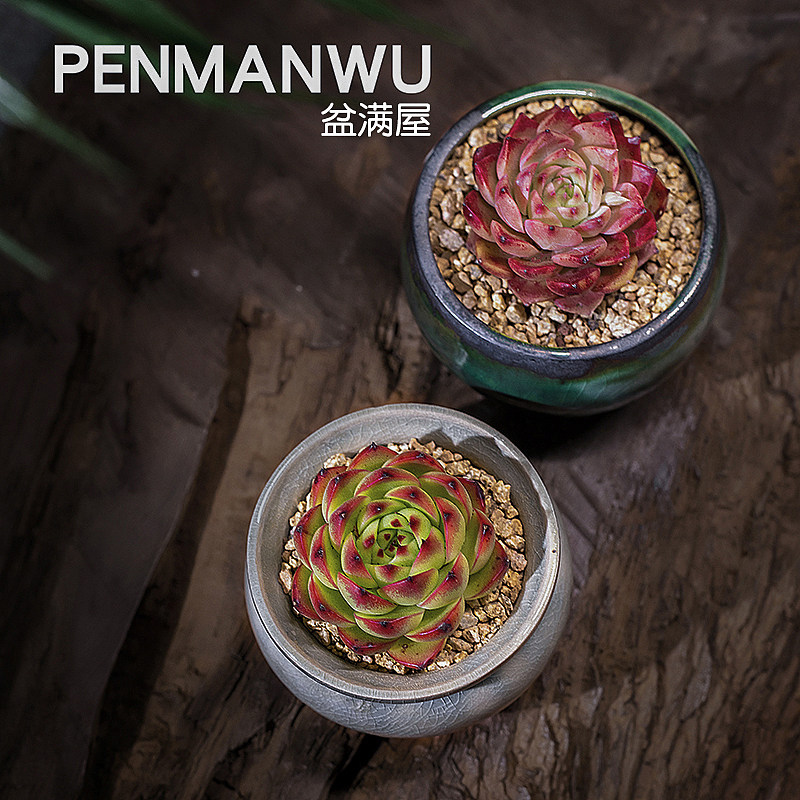 產(chǎn)品攝影，盆滿屋小花盆（圖ZMjQ2MDI2Nzky） - 產(chǎn)品攝影 - 站酷設(shè)計師小紅羊商業(yè)攝影原創(chuàng)素材 - 站酷ZCOOL