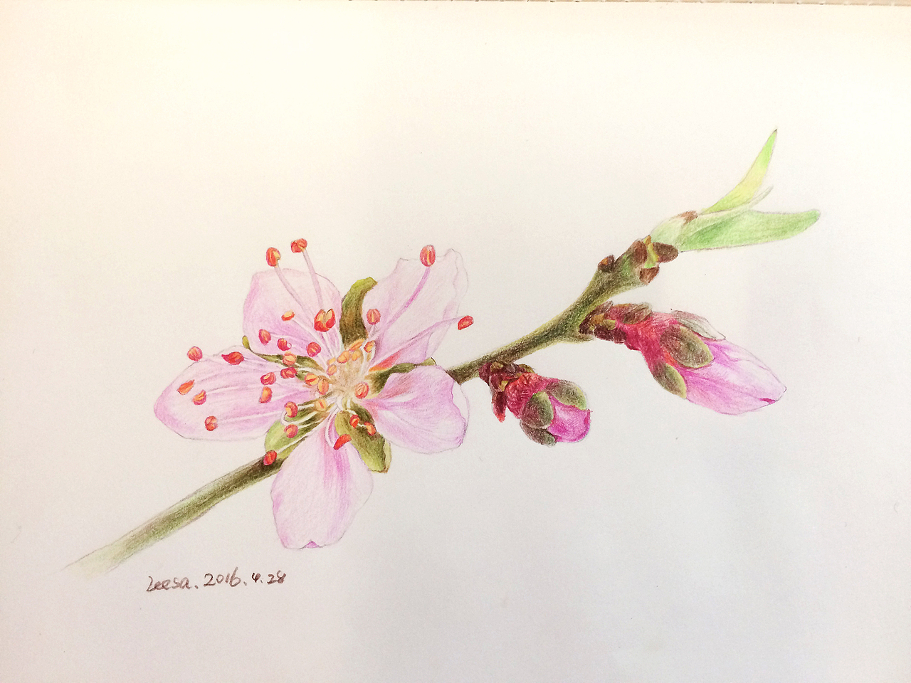 画着画着忘记拍照了，哎我这脑子～，总之要细心耐心，从头到尾时时刻刻记着光源的位置，每一个小东西都要考虑五大调。不能忘本啊～～～～
<br><br>喜欢的点赞吧～～