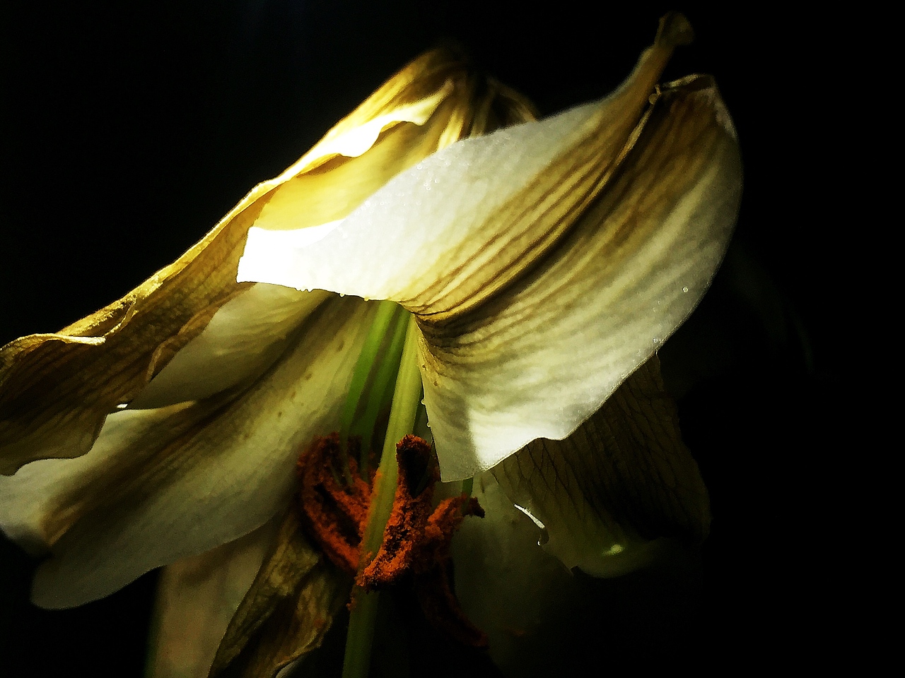 摄影作品 · 慧影间