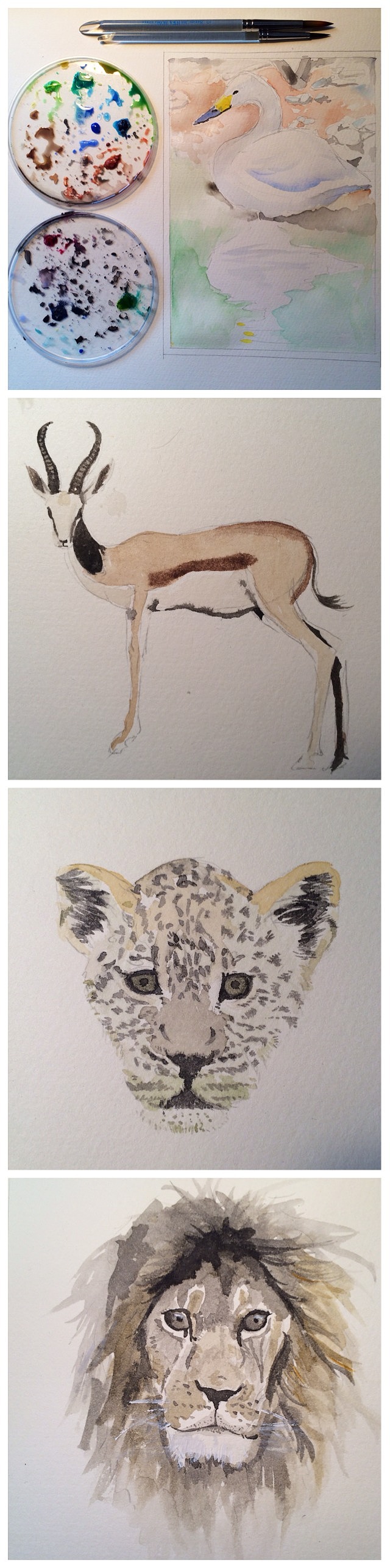 最近画的一些水彩