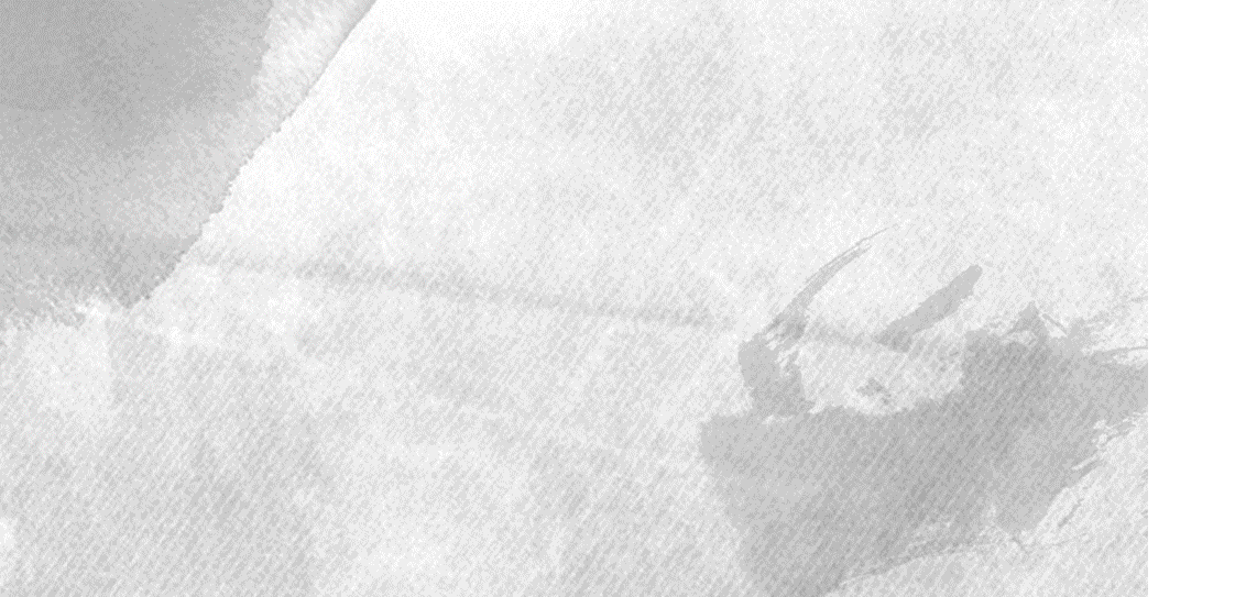 元旦新年猴子的化妆品电商首页