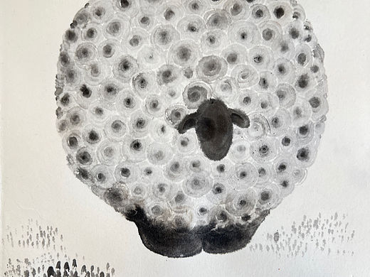 胖羊（个人主页-ZNjE4OTQyOTI=） - 绘画 - 站酷设计师冀美西原创素材 - 站酷ZCOOL