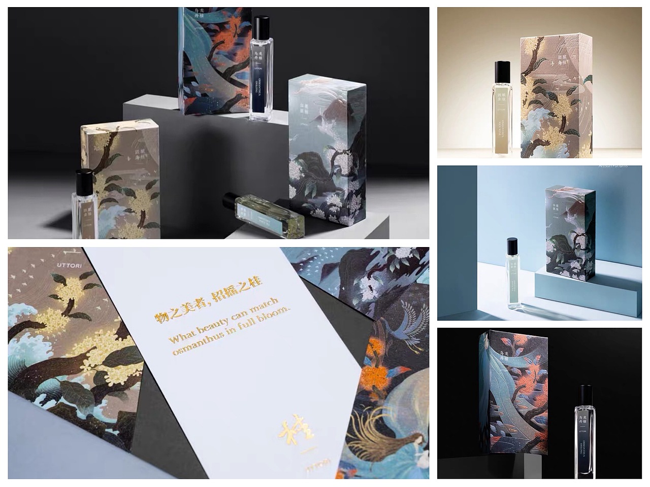 UTTORI五朵里｜桂系列-OSMANTHUS（图ZMjM3MTM1NDky） - 商业插画 - 站酷设计师Shirley_Gong_原创素材 - 站酷ZCOOL