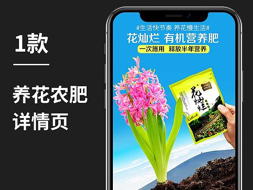 花灿烂速效肥 家庭种花养花 农药农肥详情