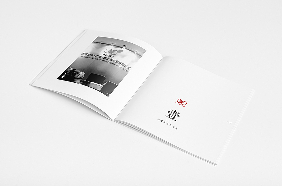 企业手册（图ZMjI4NDY2NjQ=） - 书籍/画册 - 站酷设计师syouwa原创素材 - 站酷ZCOOL