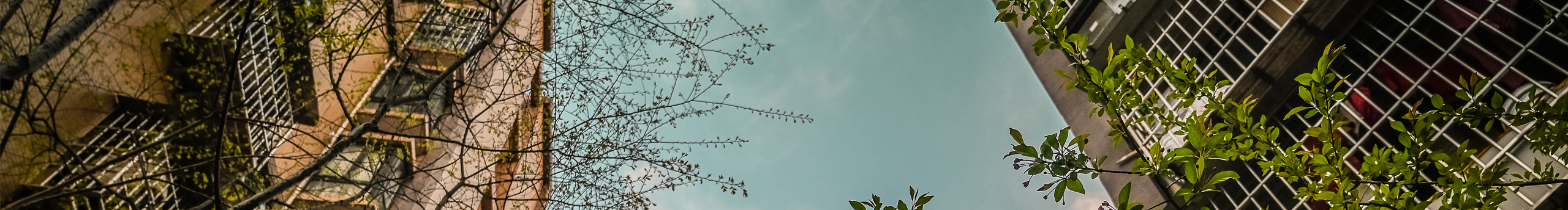 雾黑的个人主页（封面预览） - 主页封面设置 - 站酷设计师雾黑原创素材 - 站酷ZCOOL