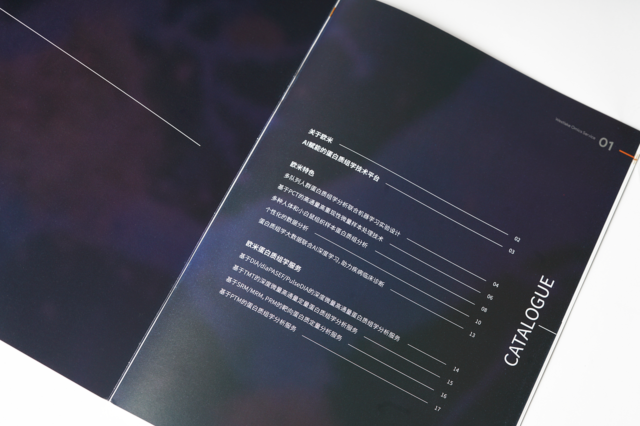 科研类服务手册-西湖欧米画册V1.1版本（图ZMjgxNTQ5NzE2） - 书籍/画册 - 站酷设计师孫容原创素材 - 站酷ZCOOL