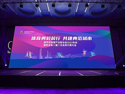 艾未文化 I 南京体育产业联合会