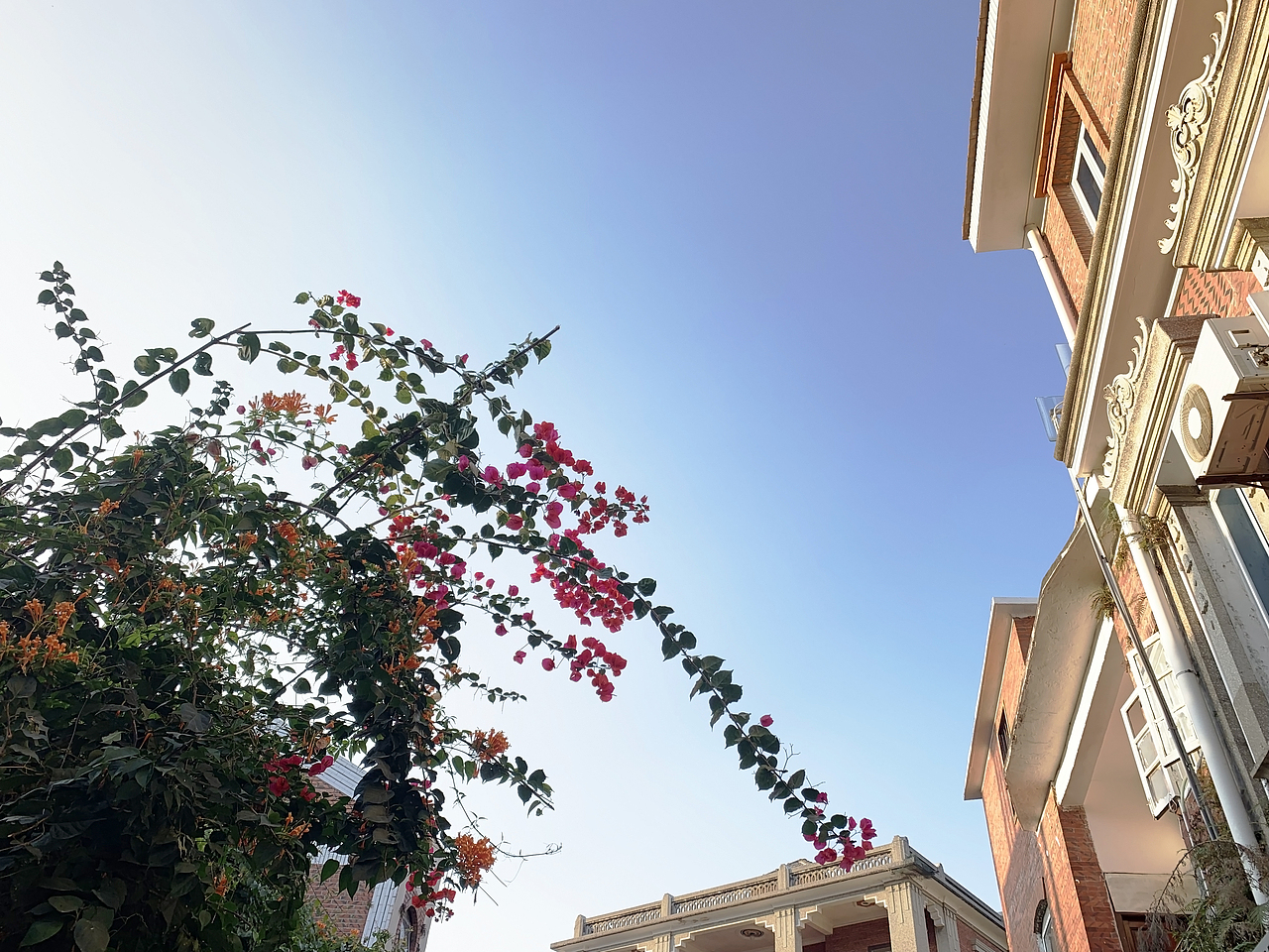 鼓浪屿 厦门（图ZMTU2MzI3MzMy） - 风光摄影 - 站酷设计师mint123原创素材 - 站酷ZCOOL