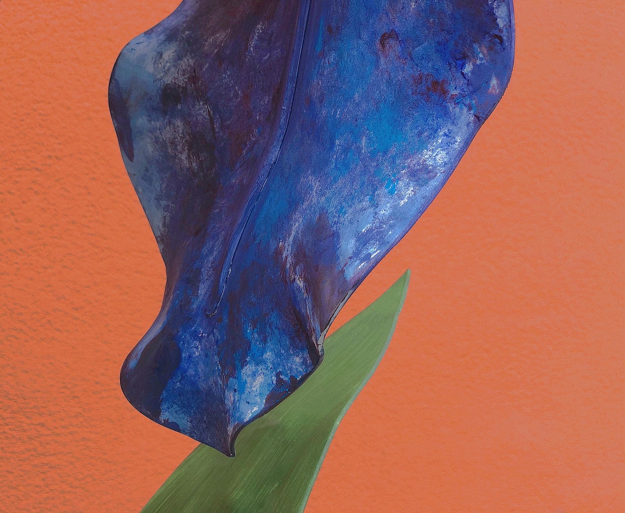 “纸艺作品 ”x 《鸢尾》