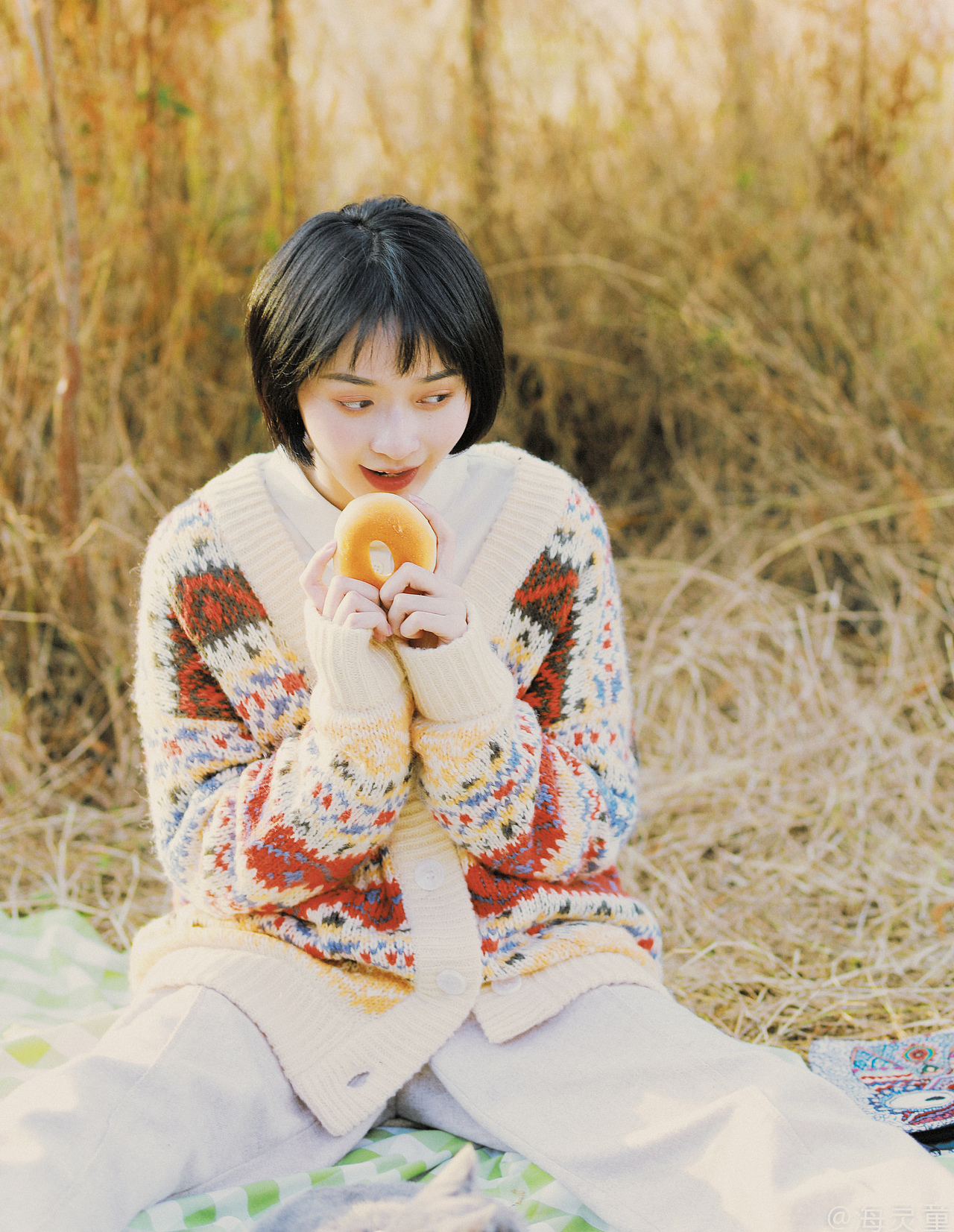 《暖秋遛猫记》