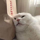 snrsnr的头像