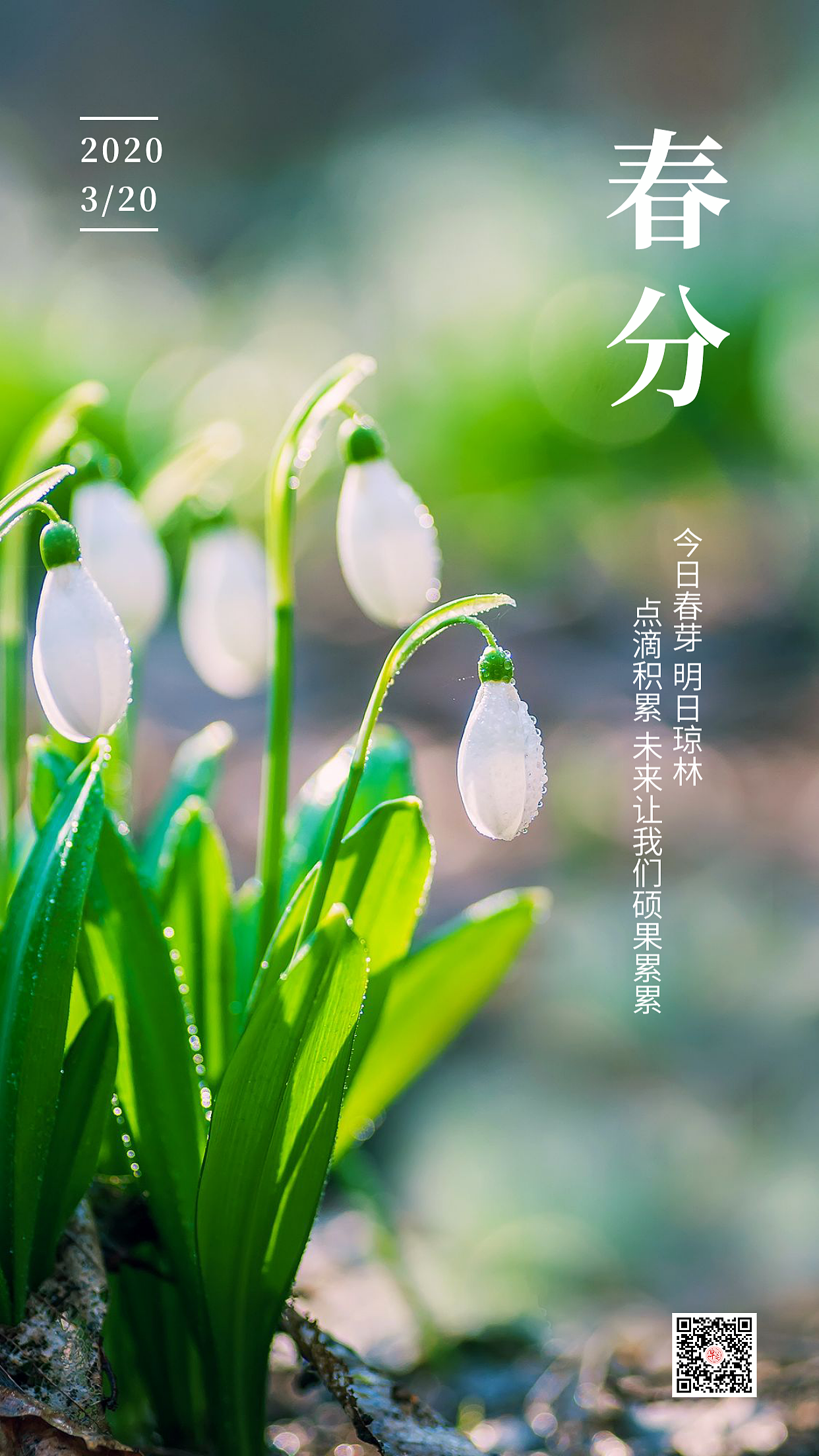 春分海报 春分图片