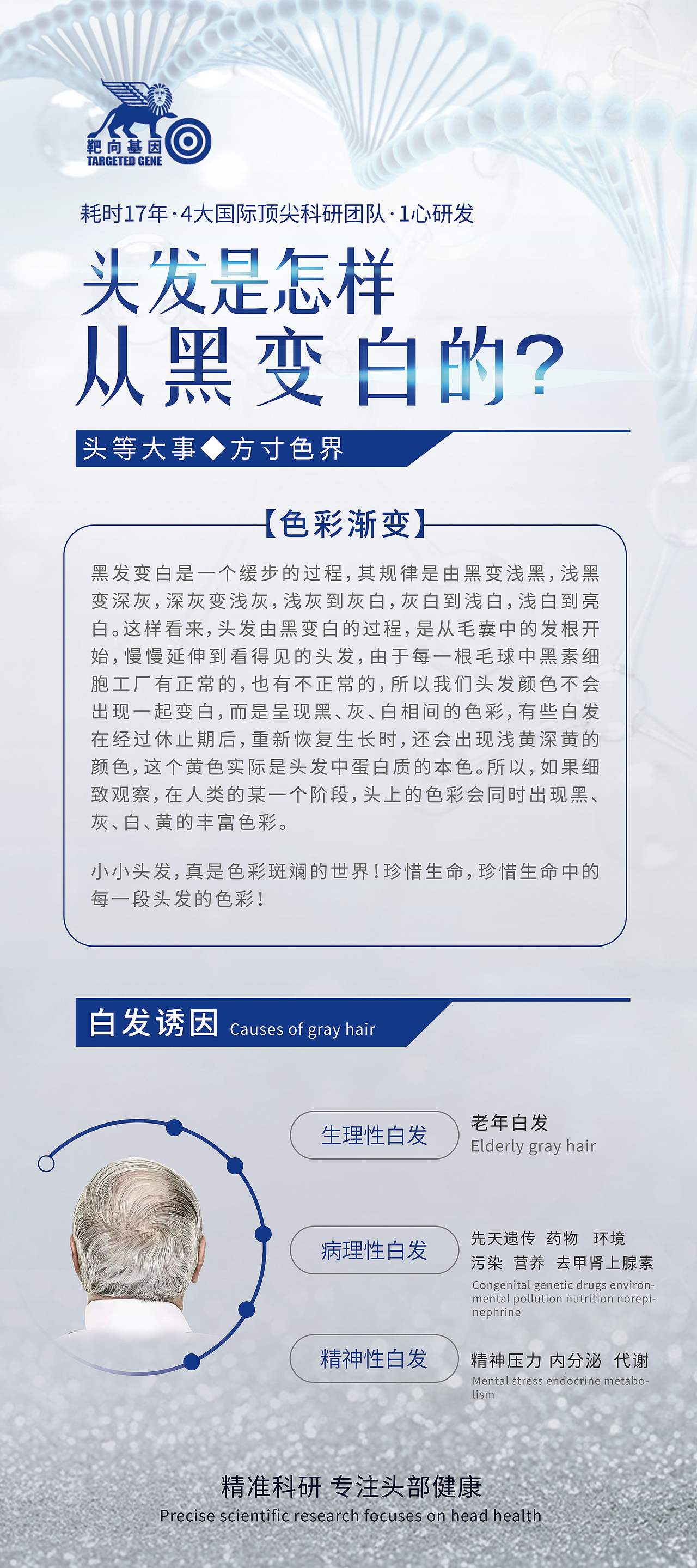 生发白转黑展架