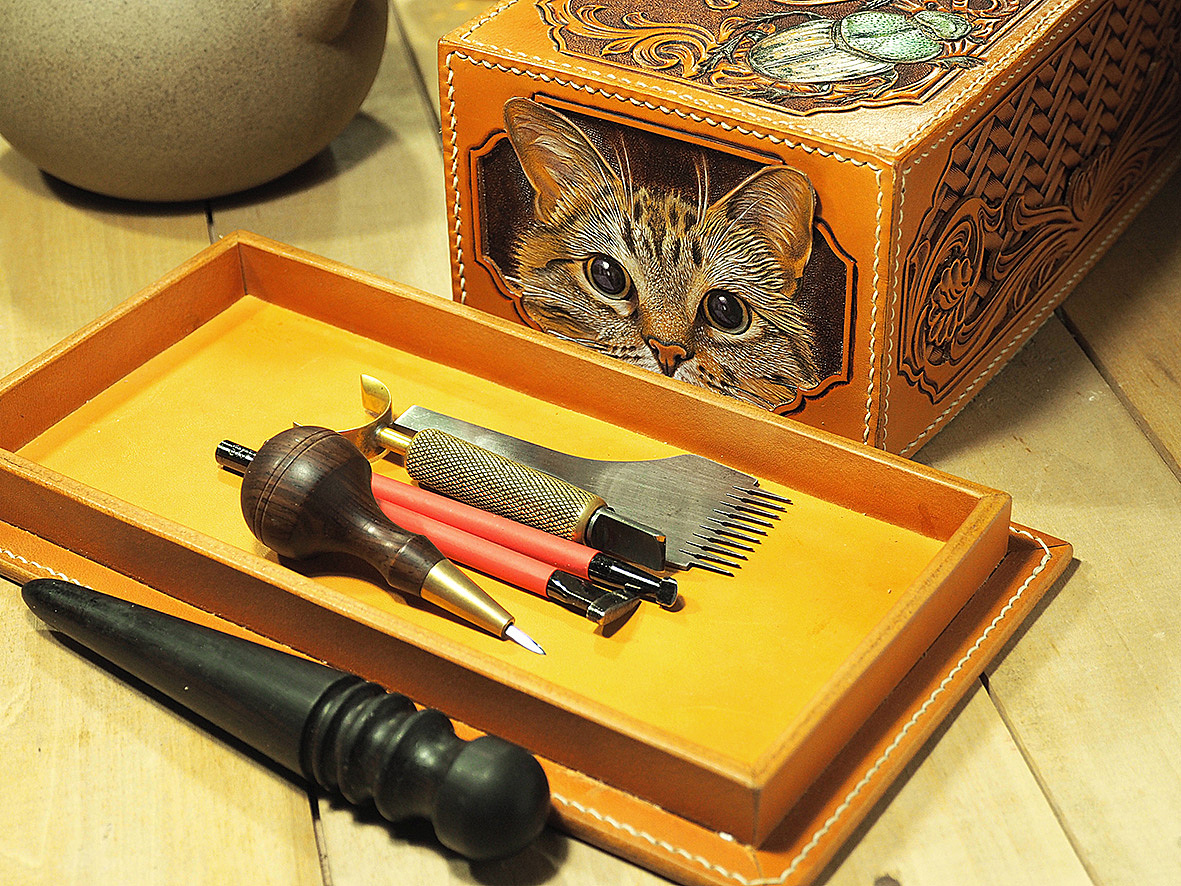 猫坐在盒子里 可爱的卡通猫 向量例证. 插画 包括有 宠物, 夹子, 系列, 茴香, 移动, 微笑, 开会 - 181133733