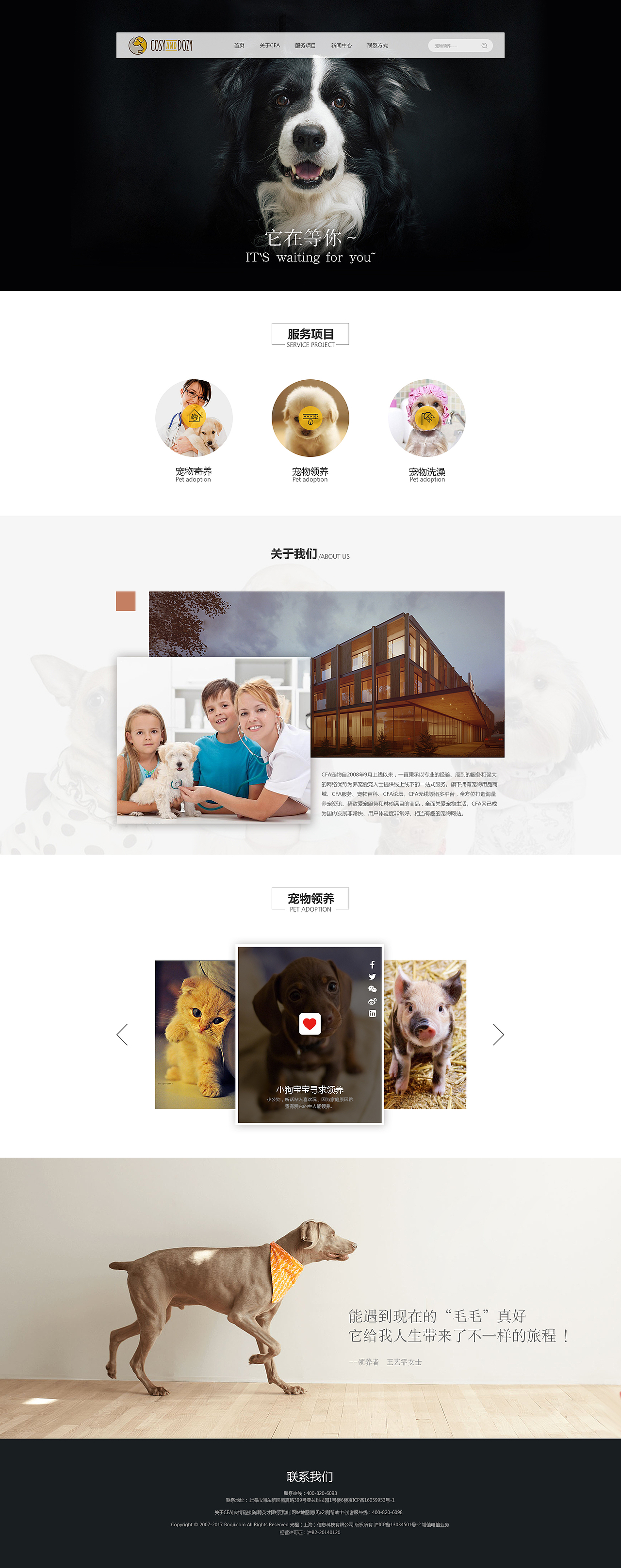 宠物网站 首页（图ZODYxMDE3MTY=） - 企业官网 - 站酷设计师1003646082原创素材 - 站酷ZCOOL