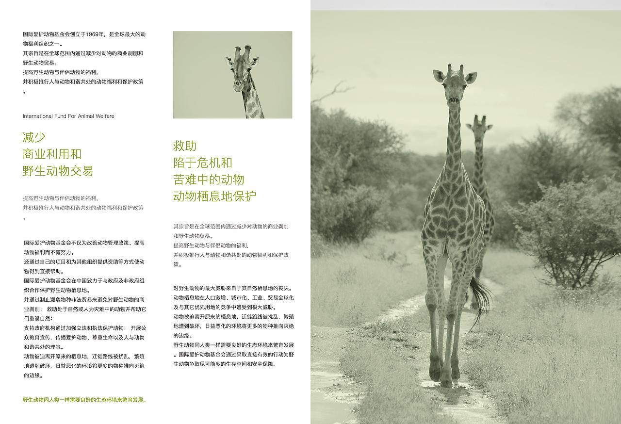 画册-保护动物（图ZOTU2MzM1ODg=） - 书籍/画册 - 站酷设计师草莓味的猫er原创素材 - 站酷ZCOOL