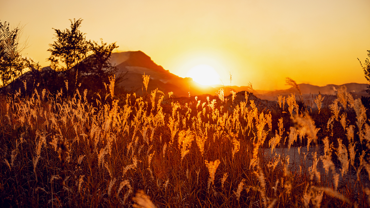 秋天是一个看着很暖却已是慢慢寒冷侵骨斧落阵叶思切