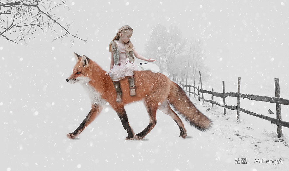 ps合成后期6 素材【狐狸和兔兔】