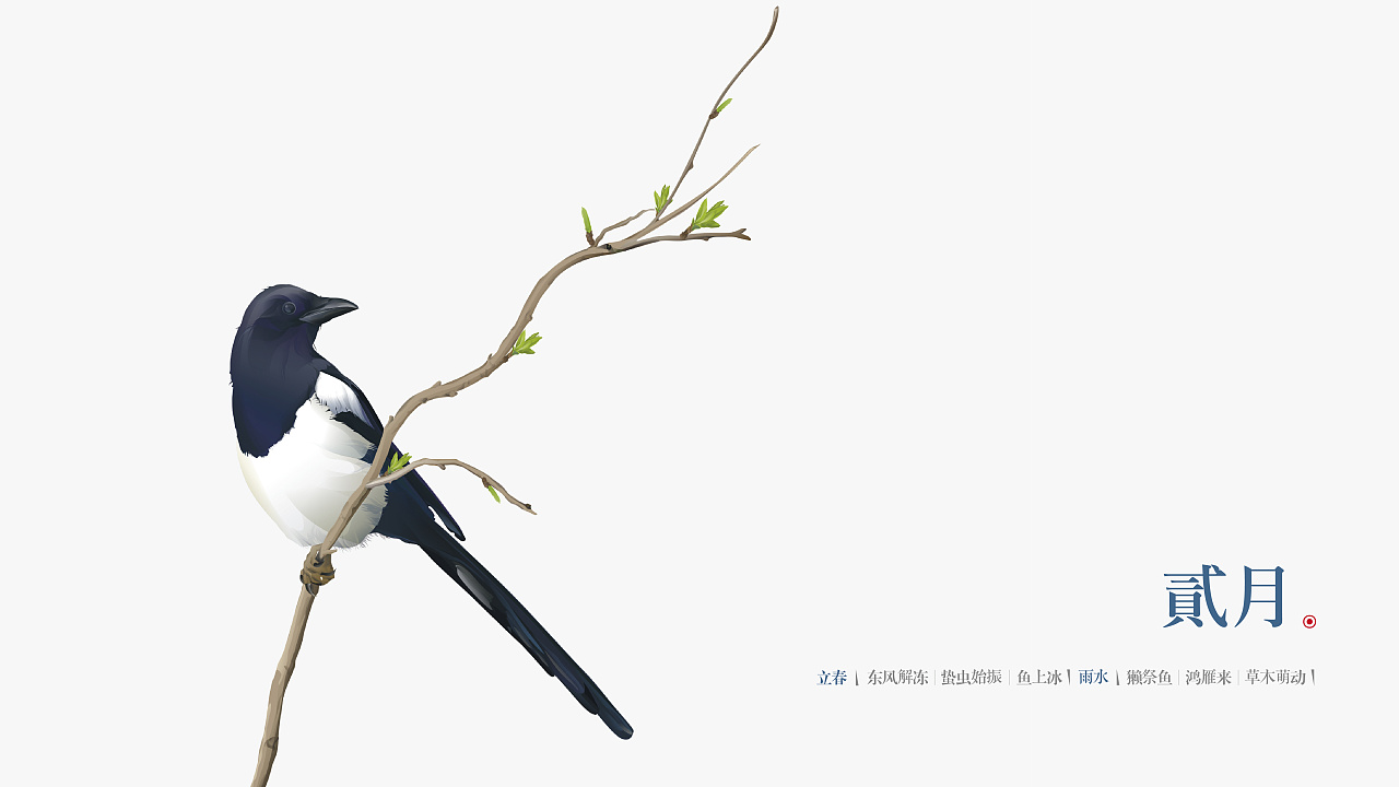 天琴山#11喜鹊 壹期壹会>|插画|商业插画|iccolee - 原创作品 - 站酷