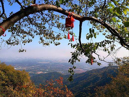 摄影/香山/风景