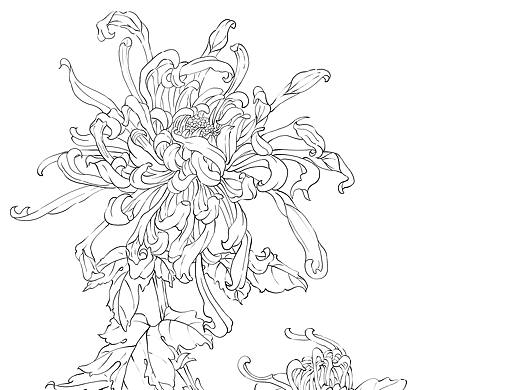 白描（個人主頁-ZNTM1ODI3MTY=） - 創(chuàng)作習(xí)作 - 站酷設(shè)計師鹿韭lujiu原創(chuàng)素材 - 站酷ZCOOL