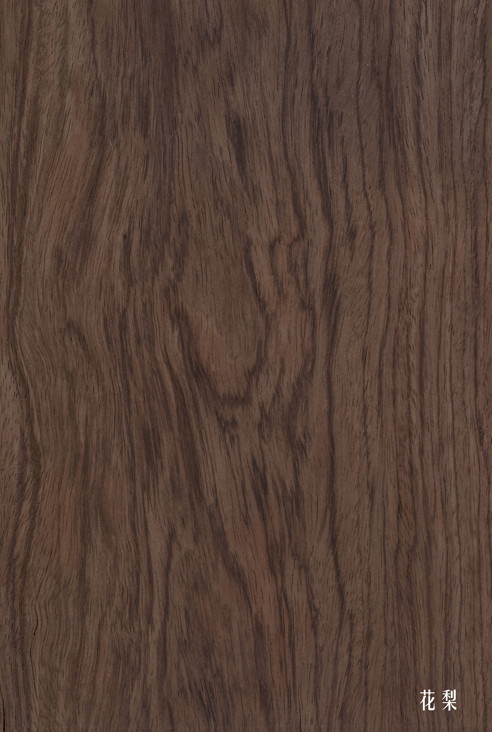 雙鷹家具的個人主頁（封面預覽） - 主頁封面設置 - 站酷設計師雙鷹家具原創(chuàng)素材 - 站酷ZCOOL