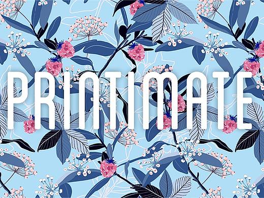 Printimate布料电商网站