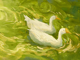 春江水暖鸭先知