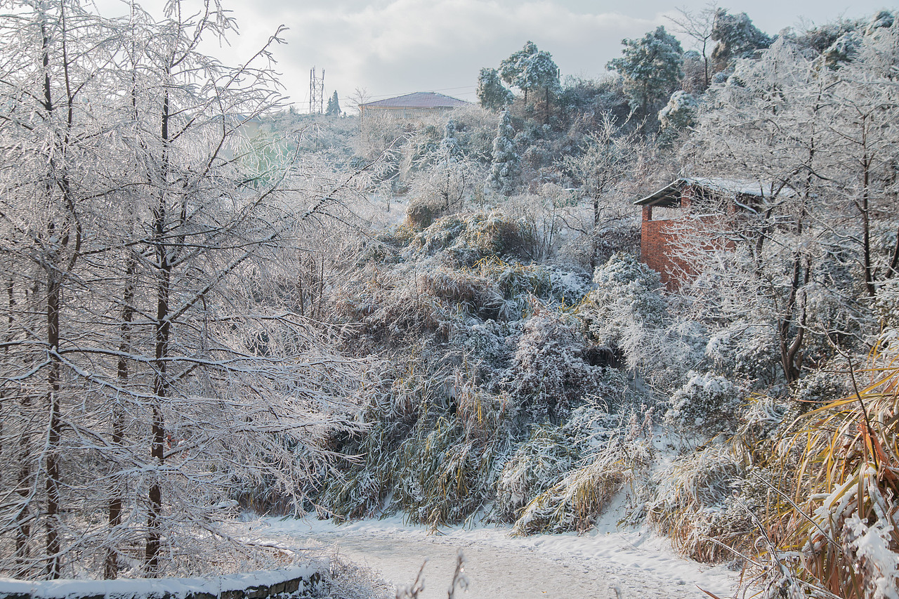 天晴看南方的雪