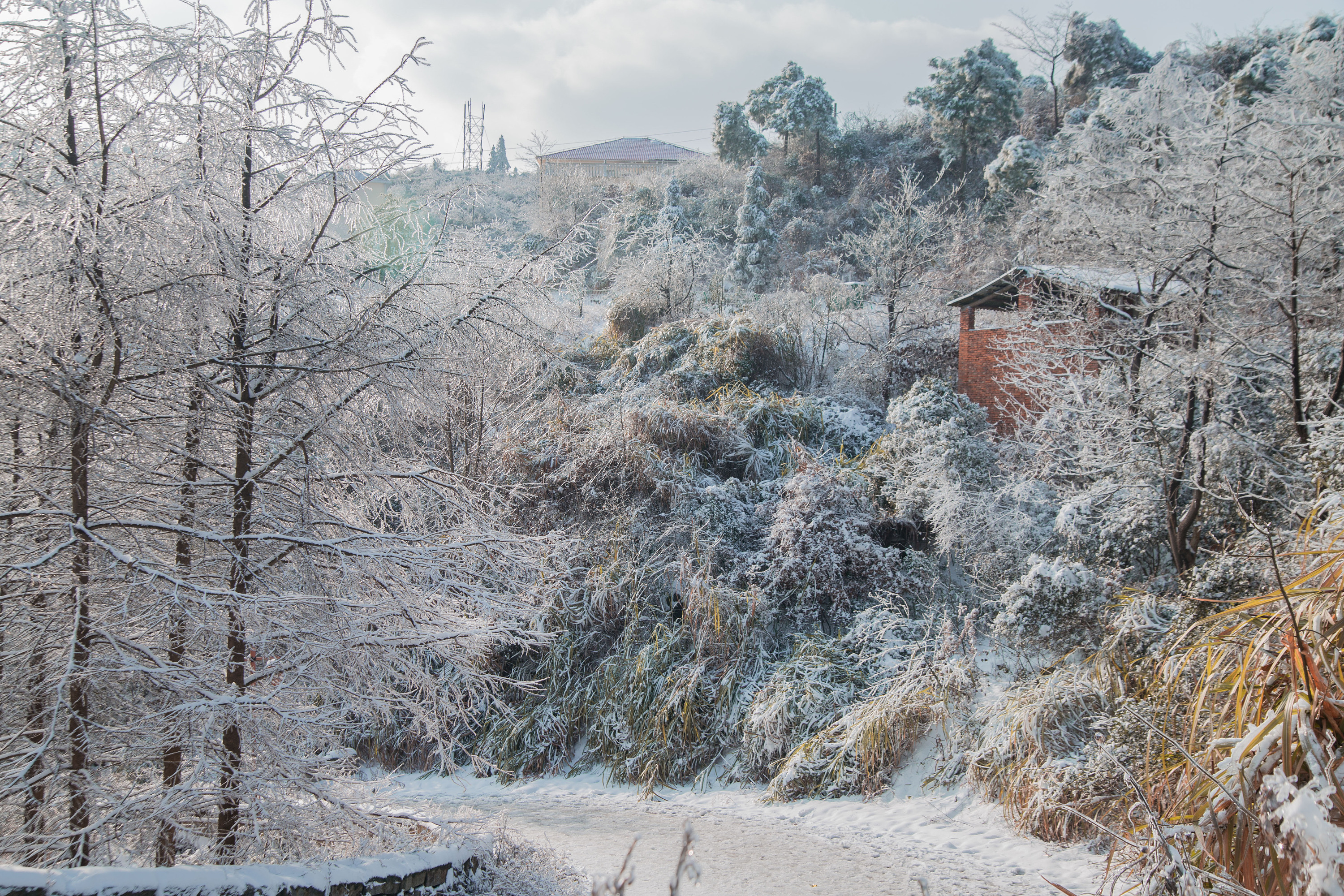 天晴看南方的雪