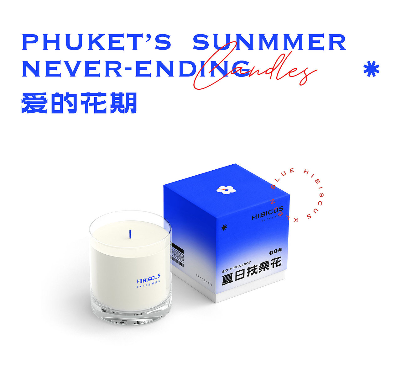 夏日扶桑花 | 品牌全案设计（图ZMjc4NTgyMDM2） - 品牌 - 站酷设计师青青椰原创素材 - 站酷ZCOOL