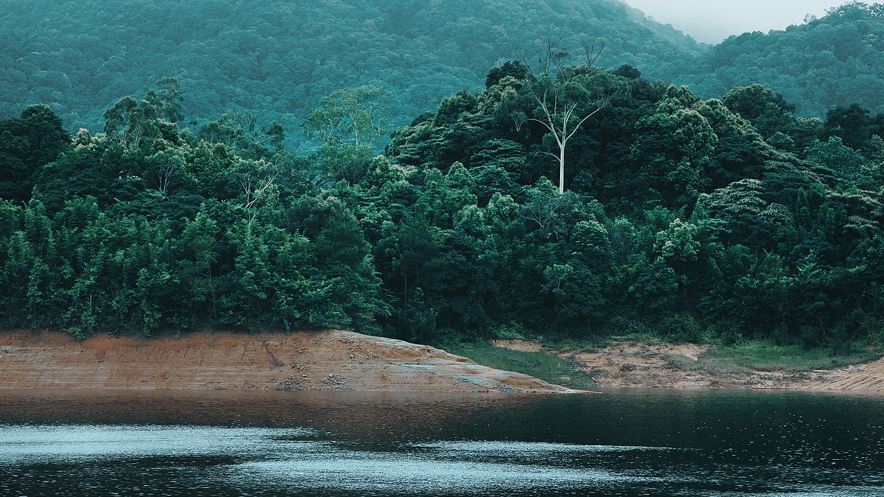 吉光凤羽 普洱茶广告片