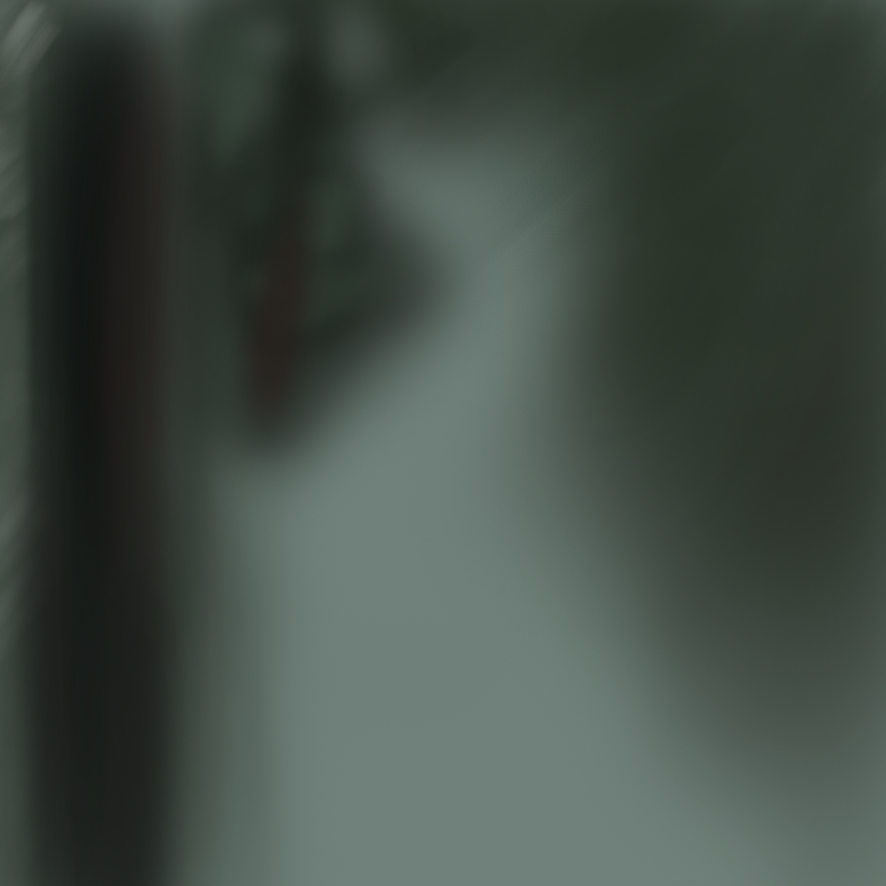 板绘厚涂头像练习